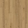 Oak Sun Oak Sun