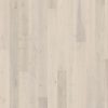 Oak Sky Oak Sky