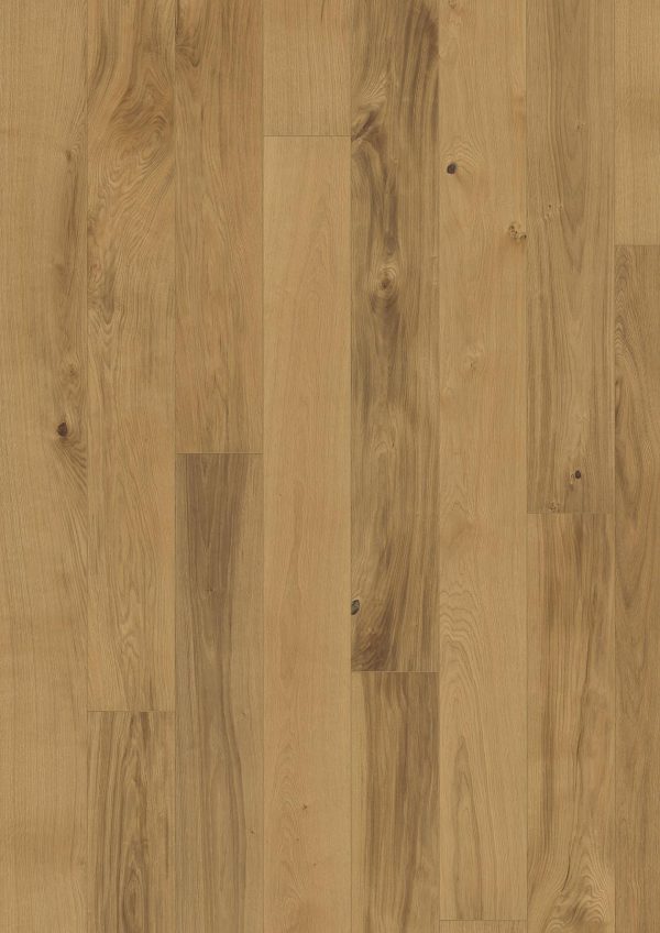 Oak Burgundy Oak Burgundy