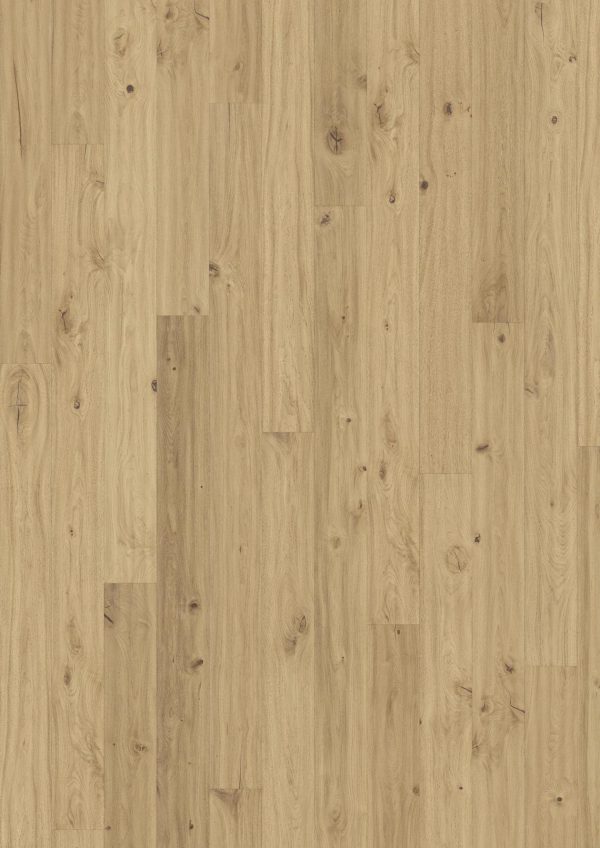 Oak Klinta Oak Klinta