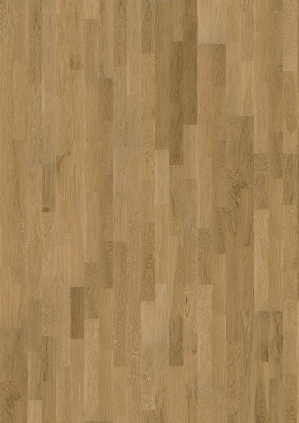 Oak Verona Oak Verona