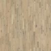 Frosted Oat Strip  