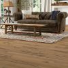 Corte Madera 8' x 10' Rectangle Indoor Rugs 