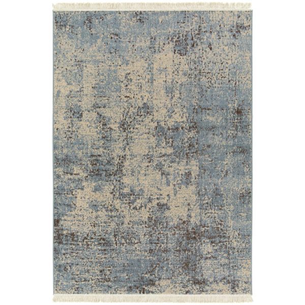 Blue Lake 5' x 7' Rectangle Indoor Rugs 