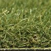 CALI Turf - The Torrey Pines Turf CALI Turf - The Torrey Pines Turf