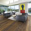Oak Earth  