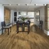 Oak Erve  