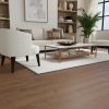 Irvine 8' x 10' Rectangle Indoor Rugs 