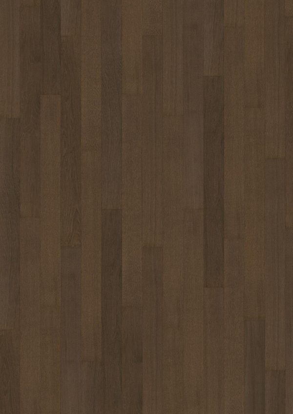 Cocoa Bean Narrow Cocoa Bean Narrow
