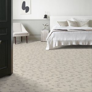 CANVAS 00102  