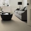 BASALT 00221  