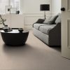 BASALT 00221  