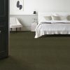 OLIVE TREE 00342  