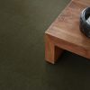 OLIVE TREE 00342  