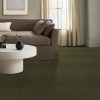 OLIVE TREE 00342  