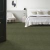FERN 00344  
