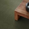 FERN 00344  