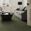 FERN 00344  