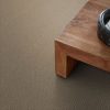 PEBBLE 00175  