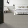 SILVER 00541  