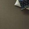 DRY SAGE 00536  