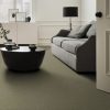 DRY SAGE 00536  