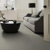 GENTLE GRAY 00541  