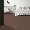 BURNT RUSSET 00877  