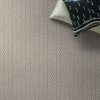 SUNLIT SILVER 00523  