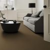 HEARTH 00738  