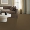 HEARTH 00738  
