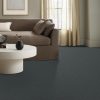 SHADOW RIDGE 00546  