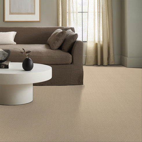 CHAMOIS 00221 CHAMOIS 00221