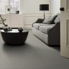 GENTLE GRAY 00541  