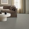 GENTLE GRAY 00541  