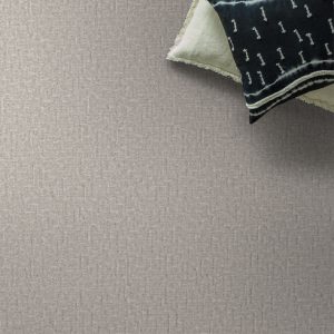 TIMID WHITE 00111  