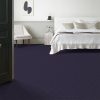 DARK LILAC 00997  