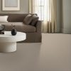 SANDSHELL 00172  