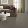 LUNAR ROCK 00555  