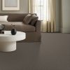 TRAIL BROWN 00754  