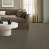 ARROWHEAD 00536  