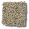 SAND DUNE 00223  