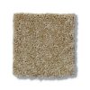 PEANUT SHELL 00186  