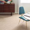 ADOBE BEIGE 00754  