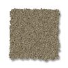 SLATE 00355  