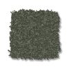 BEREYL 00348  