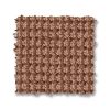 COPPER 00864  
