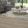 Petaluma 8' x 10' Rectangle Indoor Rugs 