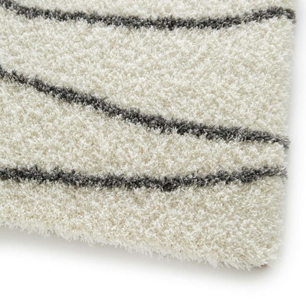 Petaluma 8' x 10' Rectangle Indoor Rugs 