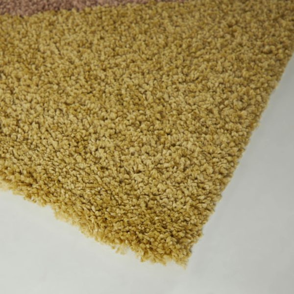 Topanga Rose 5' x 7' Rectangle Indoor Rugs 